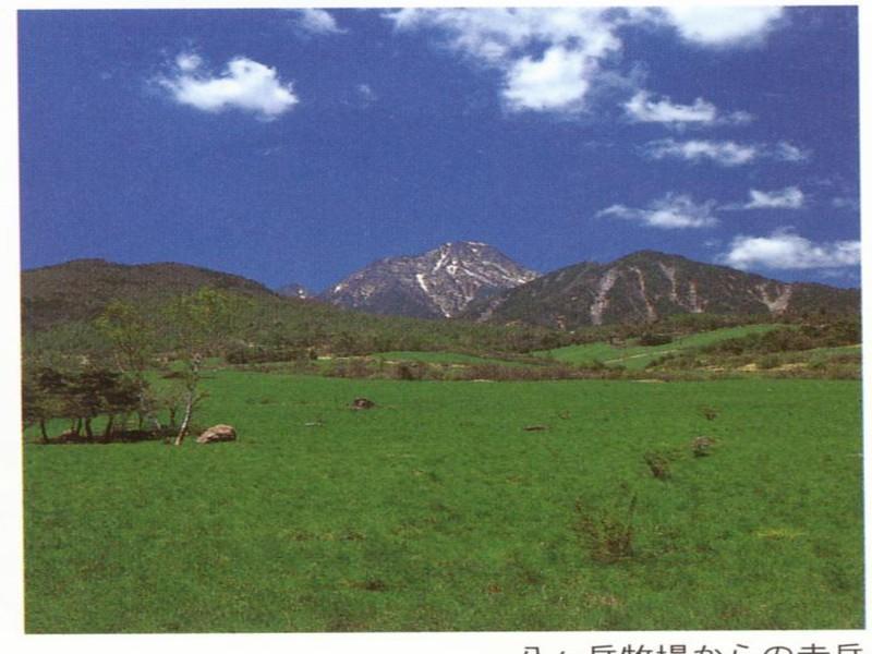 Kiyosato Pension Izumi Hokuto  Bagian luar foto